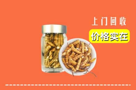 收购资讯:邢台清河县回收散虫草