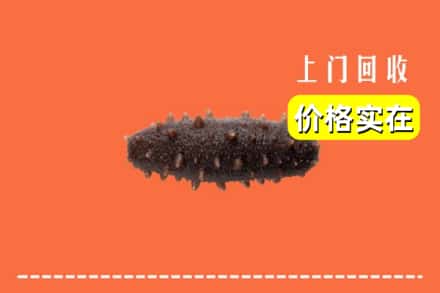 收购资讯:邢台清河县回收海参